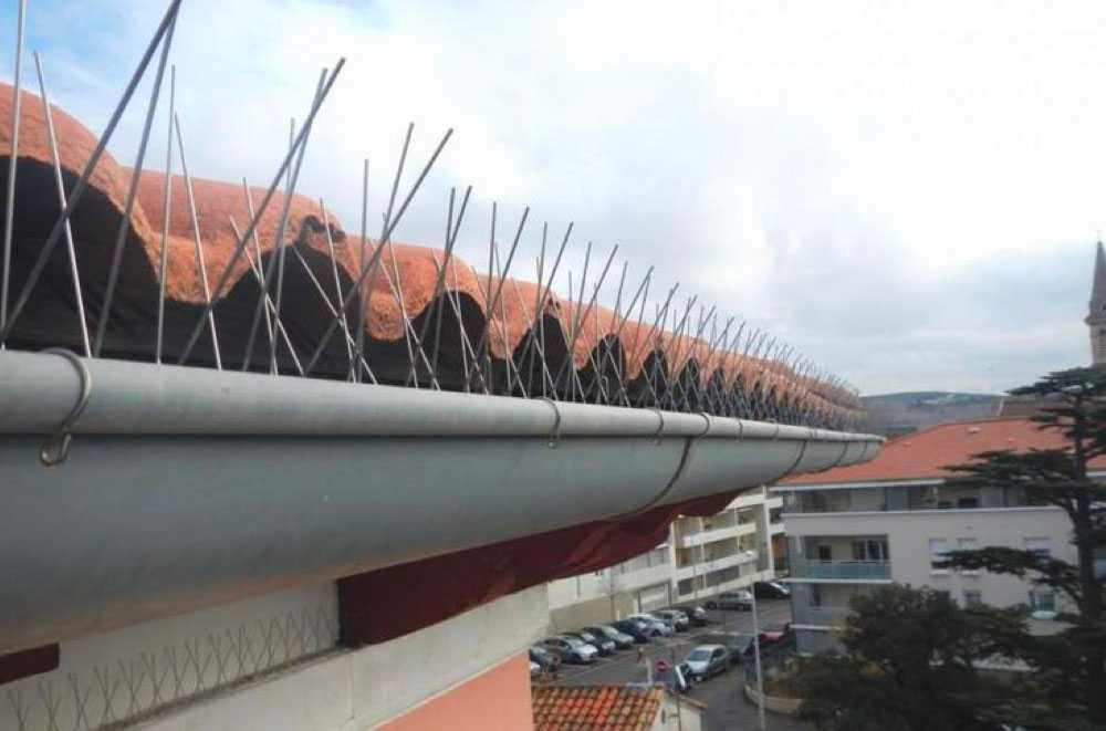 dépigeonnage alsace Wittenheim